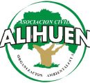 Logo alihuen